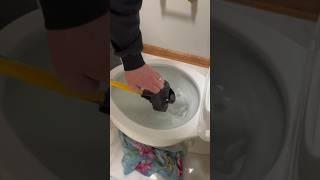 Clogged Toilet Hack #toilet #diy #howto #tutorial