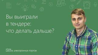 Вы выиграли в тендере: что делать дальше?