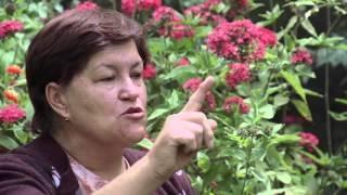 Entre Pasos y Abrazos para la Paz