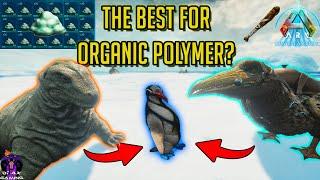 Best Ways to farm ORGANIC POLYMER | Resource, Tames & Tools Guide Ark Ascended ASA The Island !!