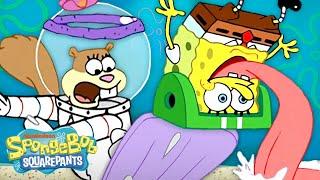 SpongeBob's Most Extreme Outdoor Adventures  | SpongeBob