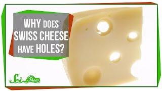 Why Does Swiss Cheese Have Holes?