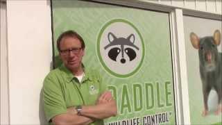 Skedaddle Humane Wildlife Control Offers a Lifetime Guarantee