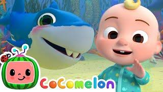 Baby Shark | CoComelon | Sing Along | Nursery Rhymes and Songs for Kids