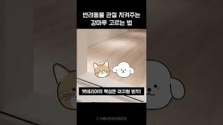 반려동물을 위한 바닥재 선택, CSR 계수가 중요합니다  #강마루 #미끄럼방지 #반려동물마루 #인테리어정보