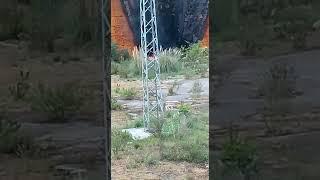 Incendio en pabellón abandonado en Repelega