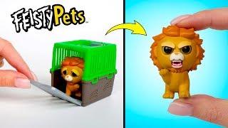 هيا نفتح ألعاب Feisty Pets Mini Misfits المشاكسة