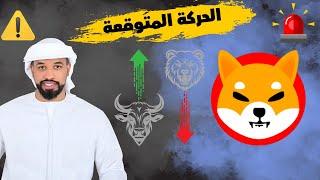 عملة شيبا اينو Shiba inu تستهدف قمتها التاريخية السابقة 0.000088$ في عام 2025 -- 31/12/2024