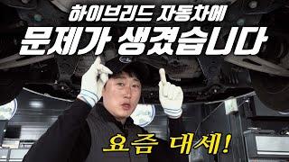 "하이브리드 자동차 겨울철에 못 타겠네!" K5 하이브리드 자동차에 어떤 문제가? Automobile maintenance