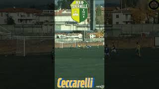 Ceccarelli - Under 17 Asd Tavernelle Calcio stagione 2022-2023