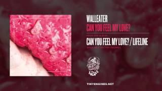 Walleater - Can You Feel My Love?