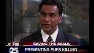 IFAW's Dr. Joth Singh - Seal Hunt 2007 - WFXT Boston