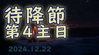 カトリック️待降節第４主日（2024.12.22　C年）️️️️