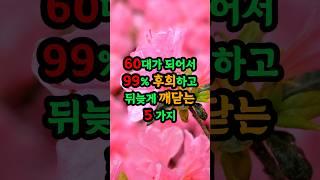 60대가 되어서 99% 후회하고 뒤는게 깨닫는 5가지 특징 #현실조언 #명언 #삶의지혜