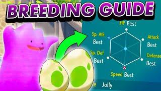 How to breed Perfect IV Pokemon in Scarlet and Violet