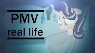 [PMV]real life