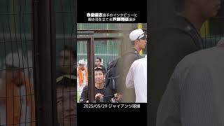 【巨人】赤星優志選手のインタビューに聞き耳を立てる戸郷翔征選手 #shorts #baseball #sports #ジャイアンツ #巨人 #プロ野球