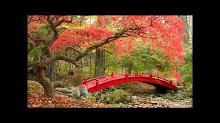 Japanese Gardens 1 - friendlymusicman