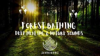 Forest Bathing Meditation Music||Pure Relaxation|Deep Healing & Nature Sounds|Shinrin Yoku