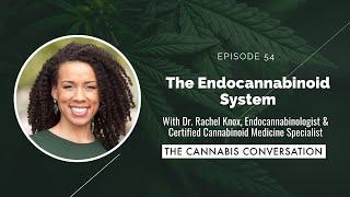 EPISODE #54 The Endocannabinoid System with Dr. Rachel Knox, Endocannabinologist & Certified Cannab