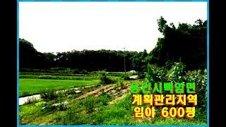 용인시 백암면 계획관리지역 토지 (임야) 매매 - 600평 3억3천