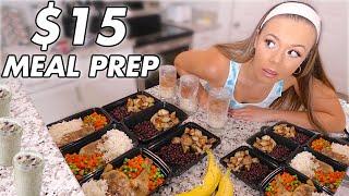 I tried a $15 budget meal prep for a week challenge!!