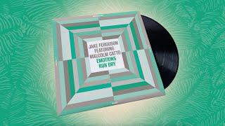 Jake Ferguson & Malcolm Catto - "Emotions Run Dry" (Madlib Invazion Music Library # 2)