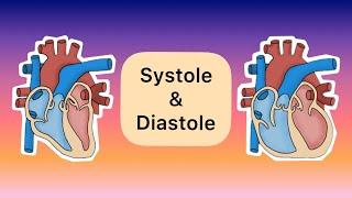 Systole und Diastole