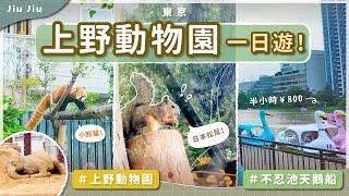 【2024 上野動物園一日遊｜原來看熊貓平日也要排隊40分鐘⁉️｜不忍池踩天鵝船｜東京旅遊】by. Jiu Jiu