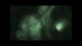 The Tunnel 2011 - All creature sightings.wmv