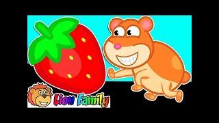 Gia đình Sư Tử  #4 Chuột Hamster | Phim Hoạt Hình  Cho Bé | Ben Channel