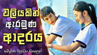 වලියකින් ඇරඹුණ ආදරය | Just for meeting you Movie Explained in Sinhala | Sinhla Review