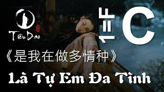 Cảm âm C LÀ TỰ EM ĐA TÌNH 《是我在做多情种》 伴奏 Accompaniment | Tiêu Dao