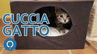 Cuccia gatto fai da te - Attività manuali per gatti