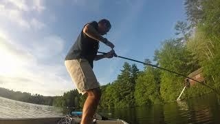 Swimbait Cast to Catch: MS Slammer Largemouth Bass