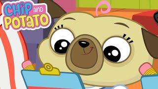 Chip and Potato | Teacher and Parents Day! | Cartoons For Kids | Watch More on Netflix