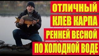Great carp bite for cold water / Fishing for carp in April 2019 / carp