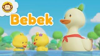 Lima Ekor Bebek  Menghitung Bebek | Lagu Anak Indonesia | BaLiTa #babalilitata #bebek