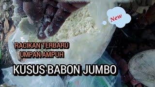 100% AMPUH RACIKAN UMPAN KHUSUS BELANAK BESAR ATAU BABON JUMBO