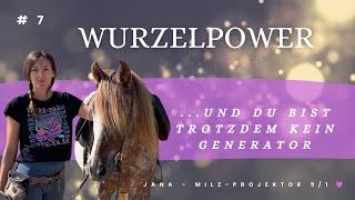 #7 Energie-Projektor - definierte Wurzel - slow the f*** down