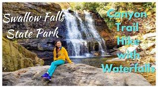 Swallow Falls State Park| Easy Hiking Trail with Waterfalls| Travel Video - Road Trip USA