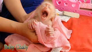 First Time Bath, Mom Take Bath Tiny Baby Monkey Chaly With Hot Water In Morning.