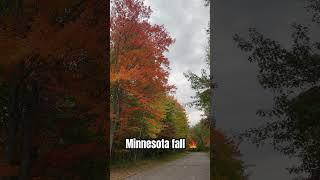 Minnesota fall #minnesota #fall #photography