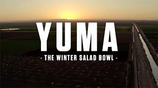 Yuma - the Winter Salad Bowl