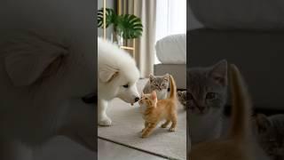 When a Puppy Falls in Love with a Kitten