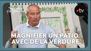 Pas de panique : magnifier un patio avec de la verdure - Silence, ça pousse ! 5 octobre 2024