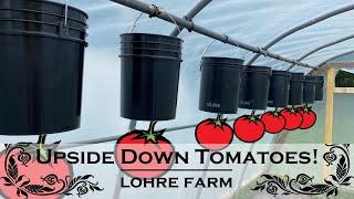 Building Upside Down  Tomato Planters