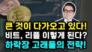 비트코인 리플 "CPI 발표 후 반등한 BTC" XRP 하락장세에서 매집한 고래들 12월 중요한 이벤트 소화하고 랠리 가는 걸까?