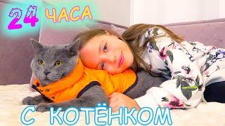 24 часа ЧЕЛЛЕНДЖ Ухаживаю за КОТЁНКОМ Мой ДЕНЬ с питомцем My little Nastya