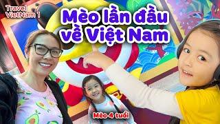 Mèo 4 Tuổi Về Việt Nam: Những Bất Ngờ Lớn Khi Lần Đầu Tiên Trở Về Quê Hương I Duc Tien Official